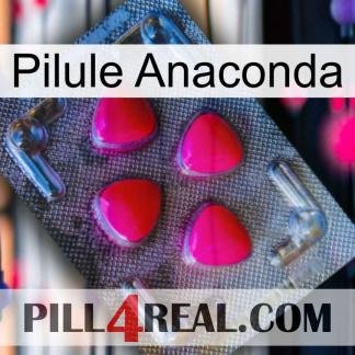Anaconda Pill 13